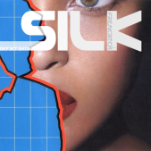 SILK_defect_data_2